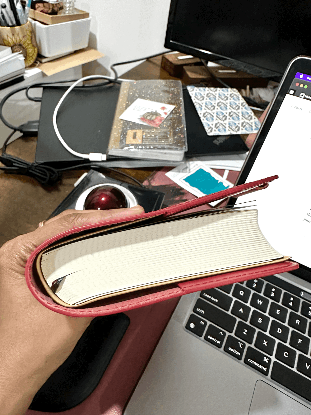 Midori Hibino 2023 - A Review